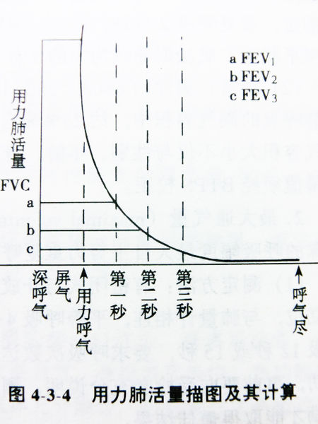 亚洲十大信誉网赌网址排名